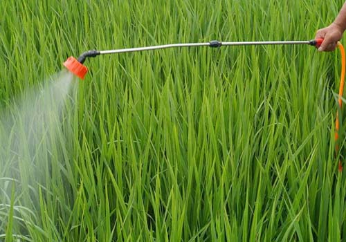 草甘膦水（shuǐ）劑消（xiāo）泡劑